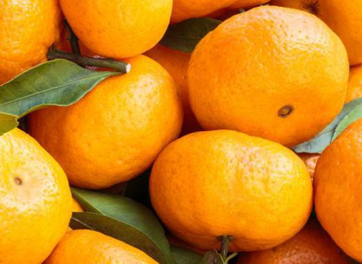 Quantas calorias estão na tangerina?