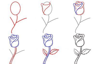 Como desenhar uma flor ao lápis?