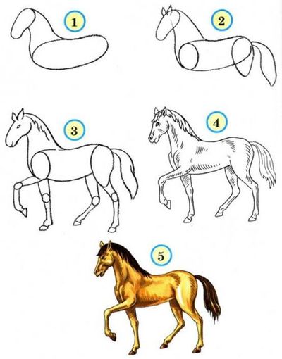 Como desenhar um cavalo a lápis?