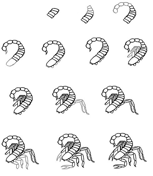 Como desenhar um escorpião?