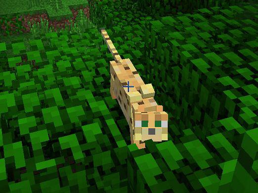 Como domar um gato no Minecraft?