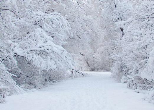 O que é neve?