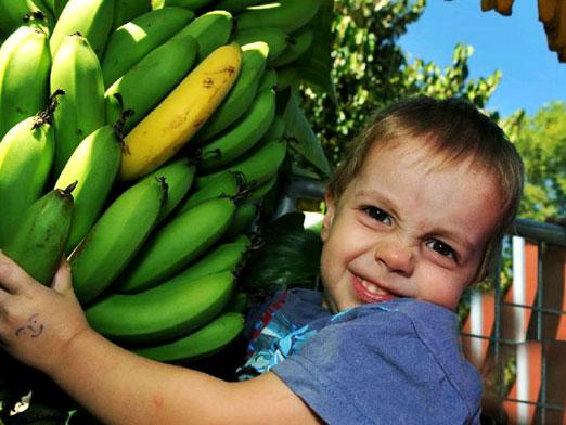 Uma criança pode ter uma banana?